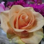 607183440 10166777136301038 9040060582627991033 n